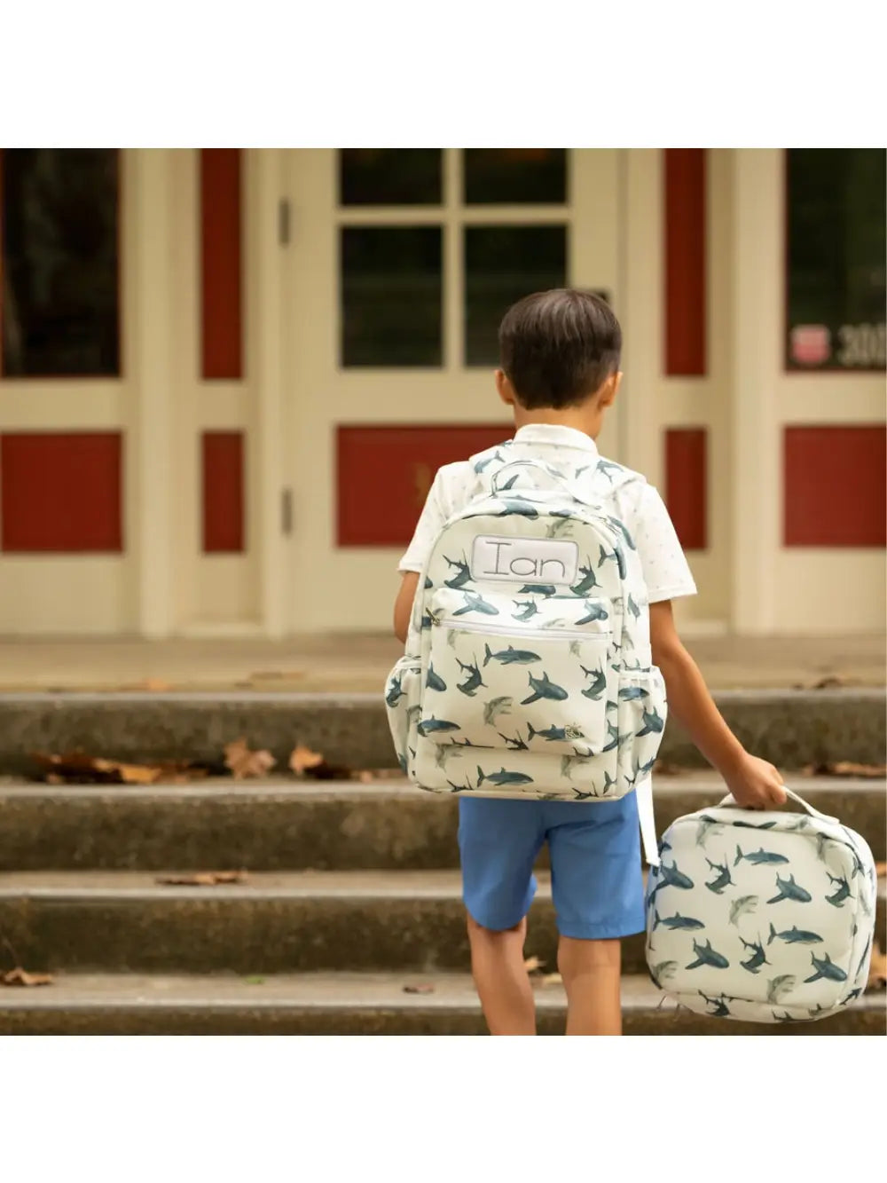 Shark School Set