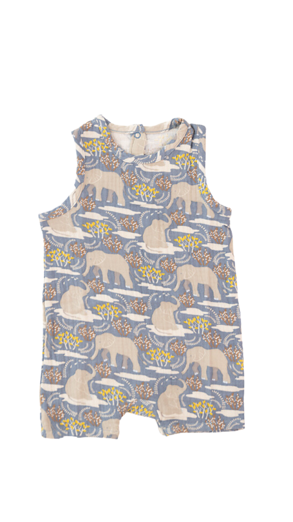 Salt of the Earth Snap Romper