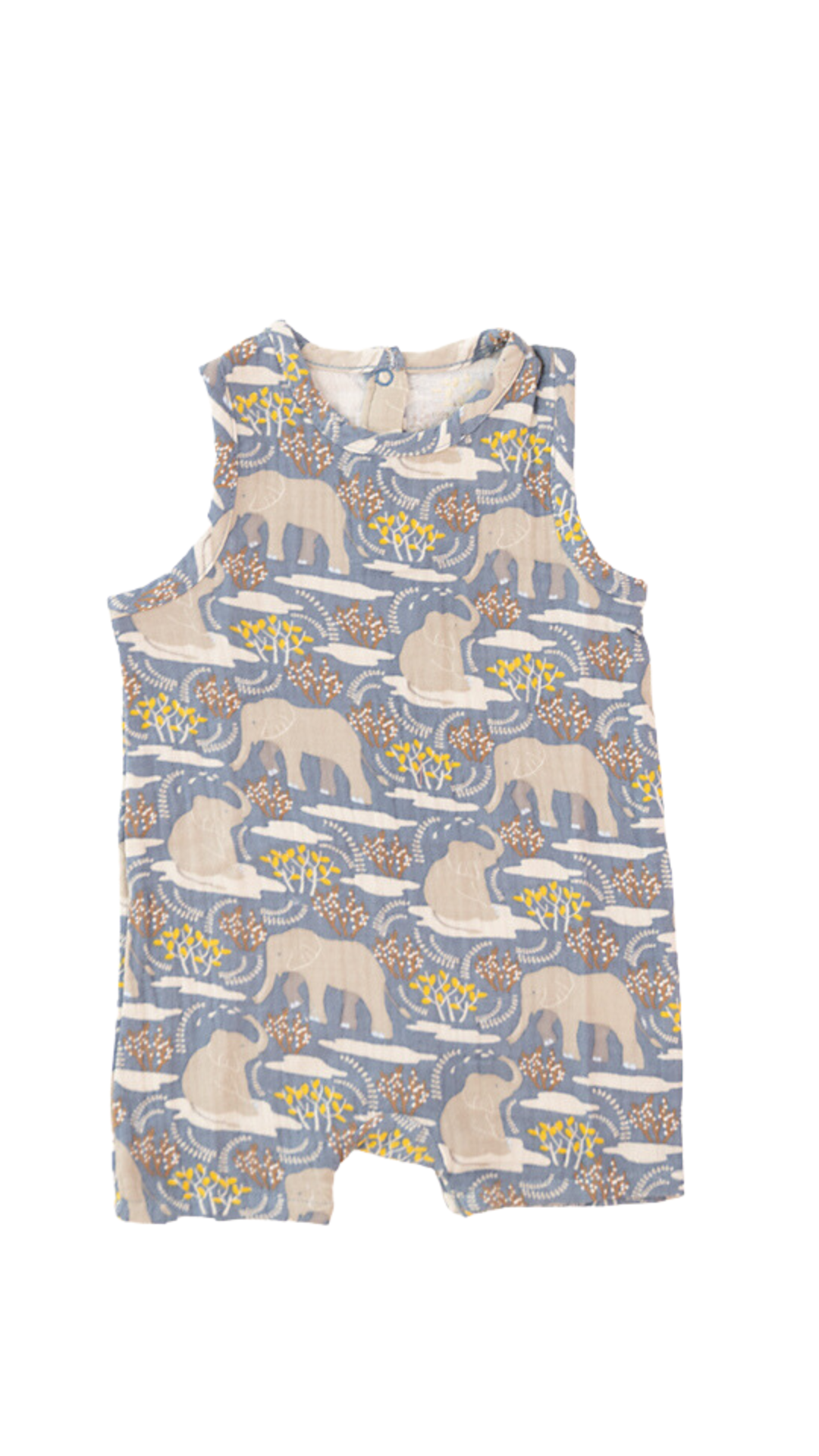 Salt of the Earth Snap Romper